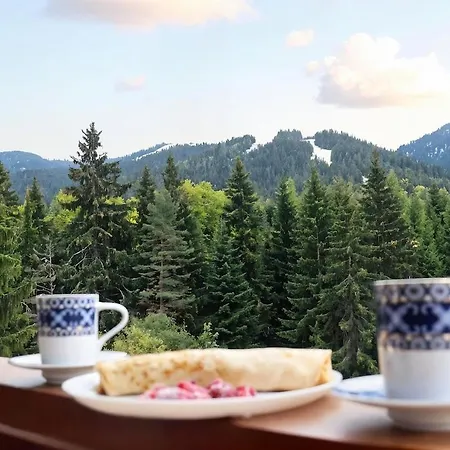 Rila Morning * بوروفتس