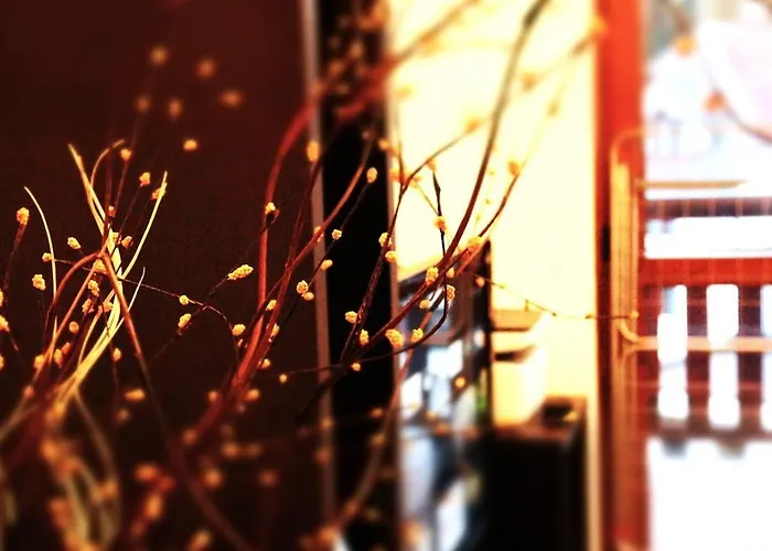 Rila Morning * بوروفتس